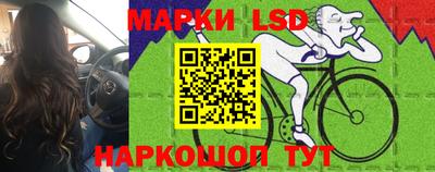 спиды Гатчина