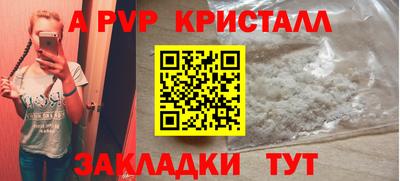 спиды Гатчина